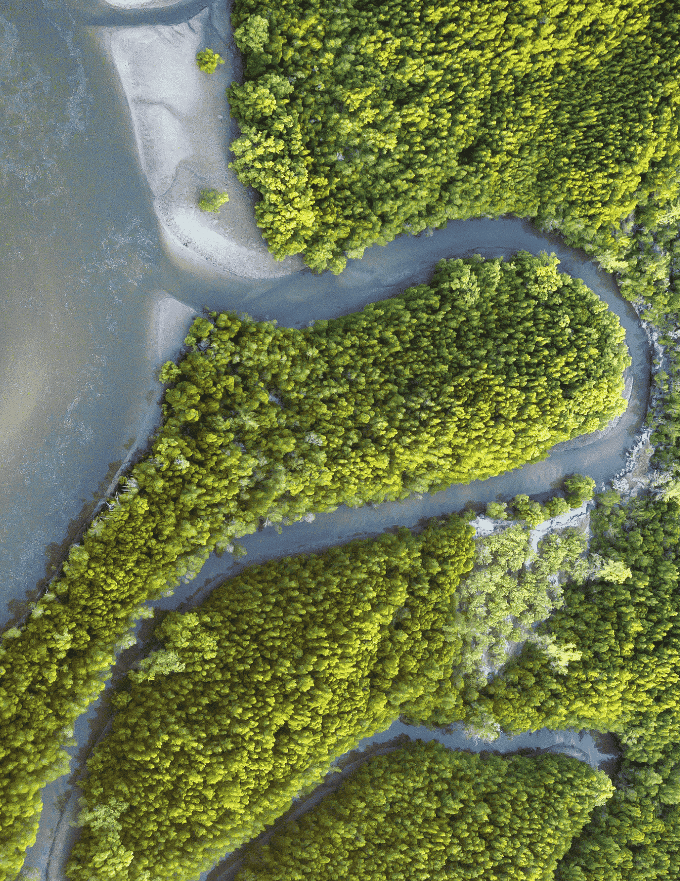 CSL Image – right side.png