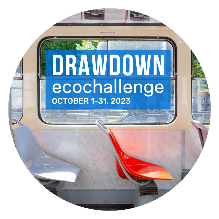 DD 23 Transportation.png