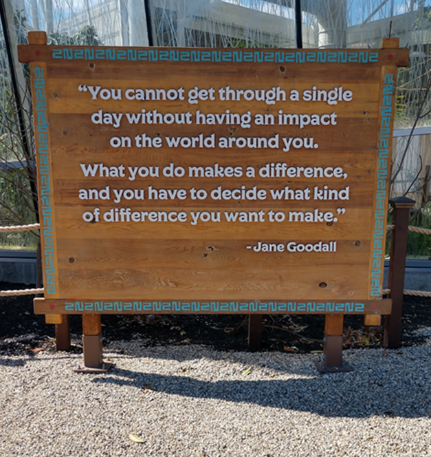 Jane Goodall Quote Roger Williams Park Zoo, Brooke Tully.png