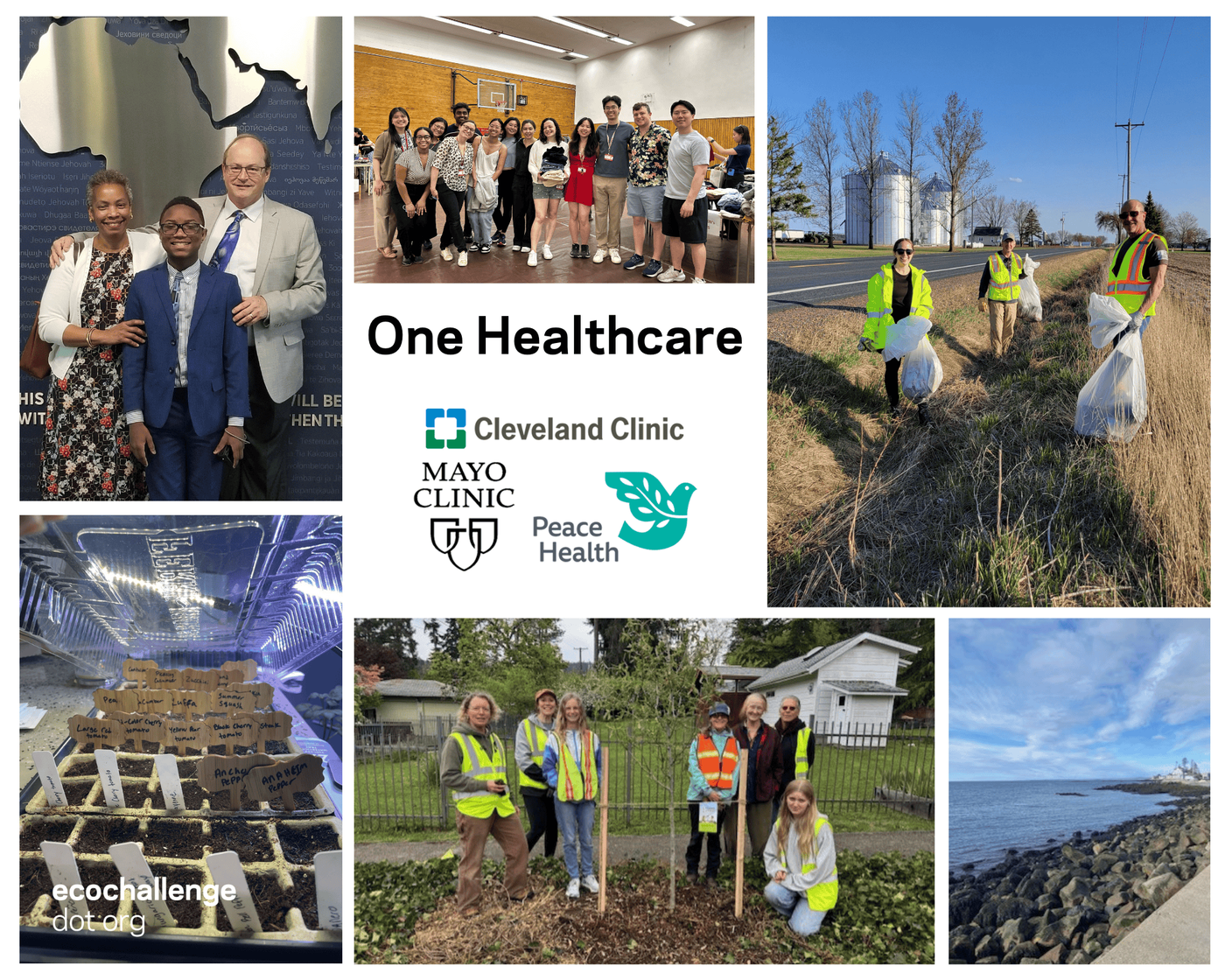 OneHealthcare-Ecochallenge25-PhotoCollage (1).png