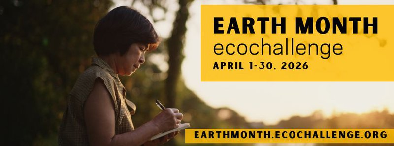 fb banner - journal.jpg