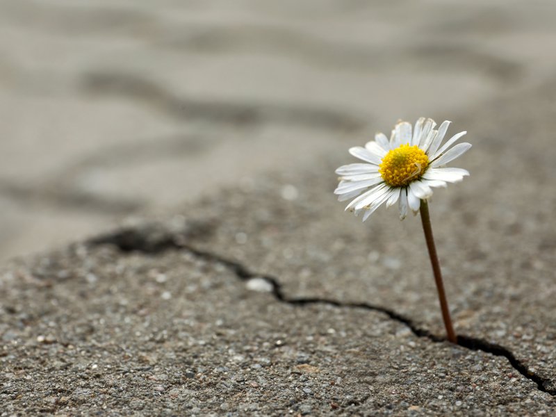 iStock-1488043800.jpg