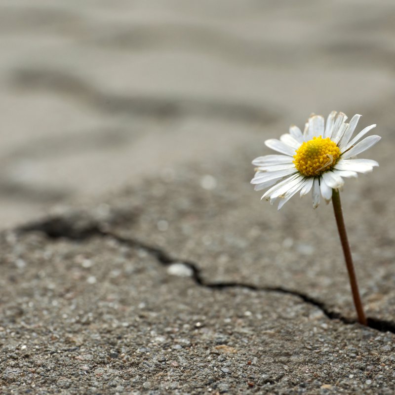 iStock-1488043800.jpg