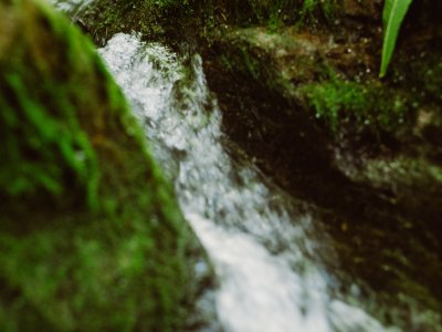 website-images-choices-sustainable-living.jpg