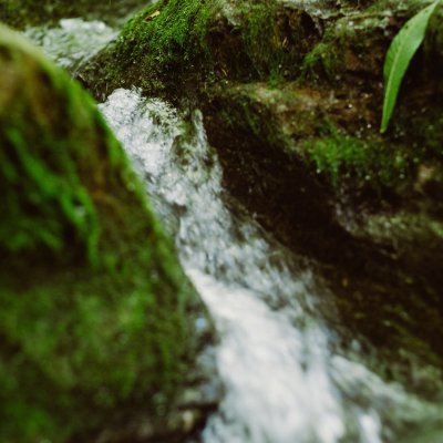 website-images-choices-sustainable-living.jpg